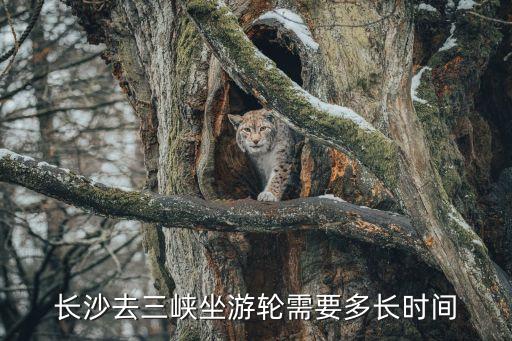 坐三峽游輪準備多久，乘船游覽三峽在船上需要呆多長時間...